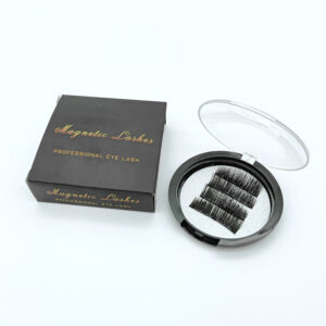 Professional Magnetic Lash Case
